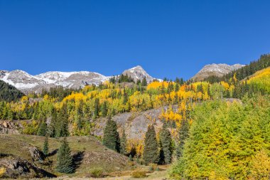 Colorado rocky Dağları Güz