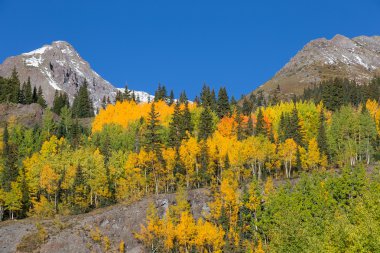 Colorado rocky Dağları Güz