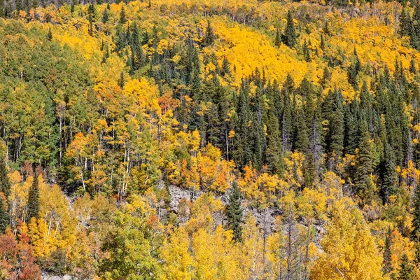 Colorado Montagne Rocciose in autunno — Foto Stock