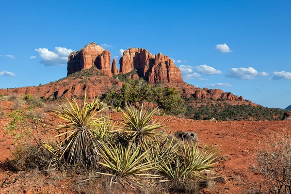 Sedona arizona landschaft — Stockfoto