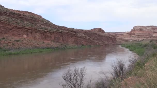 Río Colorado cerca de Moab Utah — Vídeos de Stock