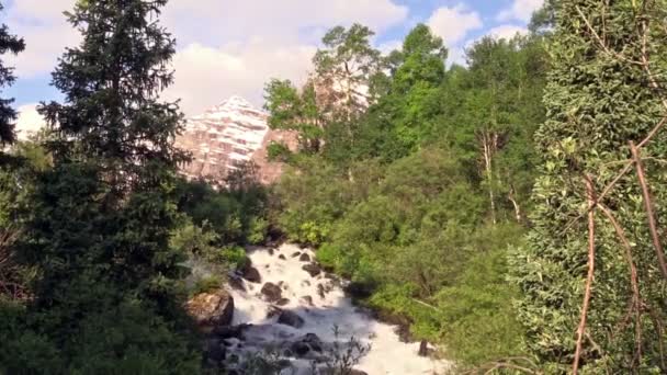 Kastanienbraune Glocken und Wasserfall — Stockvideo