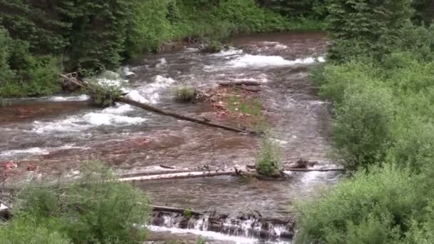 Ruisseau de montagne panoramique 