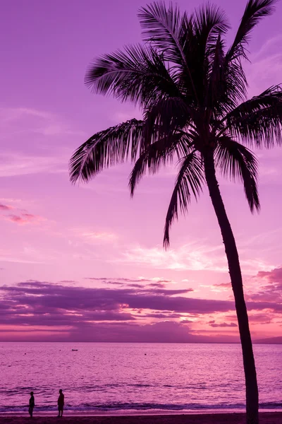 Тропічний острів захід сонця — стокове фото