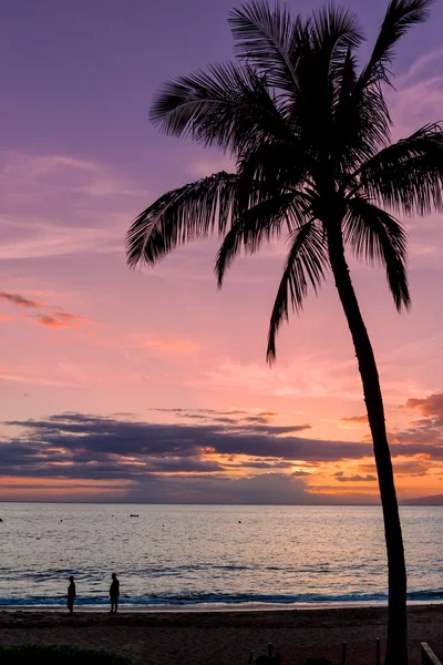 Sonnenuntergang auf der tropischen Insel — Stockfoto