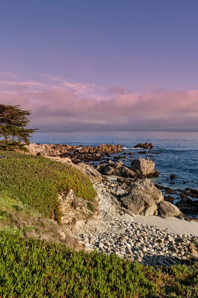 Scenic kaliforniai tengerparton — Stock Fotó
