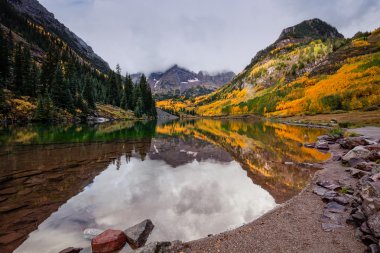 Kestane rengi çan sonbahar yansıma