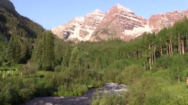 Yaz aylarında kestane çan