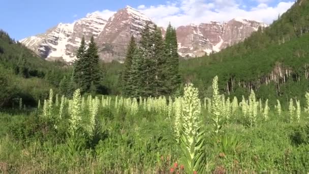 Maroon Bells i sommar — Stockvideo