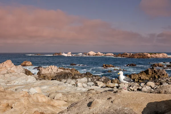 Scenic California Coast — Stock Photo, Image