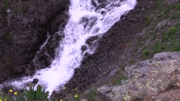 Alpin vattenfall i sommar — Stockvideo