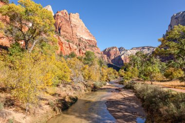Virgin river Zion N.P. Güz