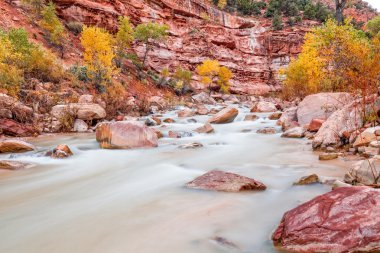 Virgin river Zion N.P. Güz