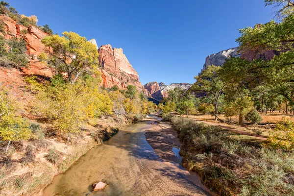 Virgen del río Zion N.P. en otoño — Foto de Stock