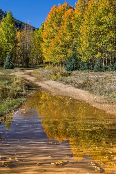 Aspens odzwierciedlenie w jesieni — Zdjęcie stockowe