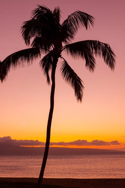 Île tropicale coucher de soleil — Photo