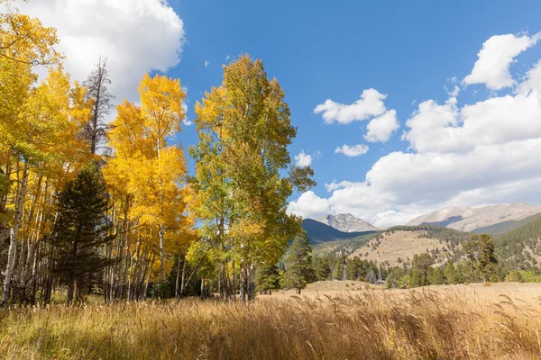 Scène de montagne en automne — Photo