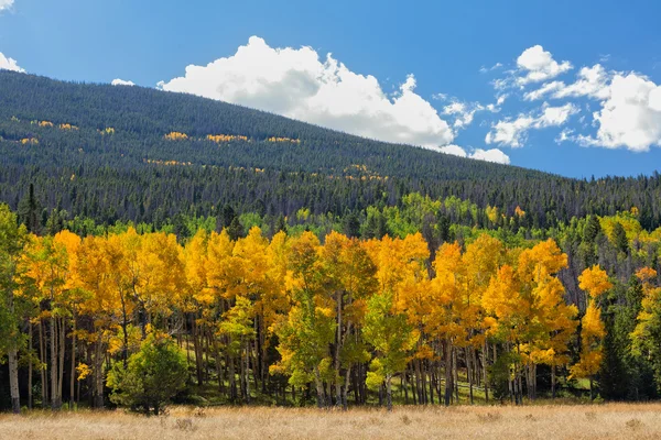 Mountain Scenic in Fall Royalty Free Stock Images