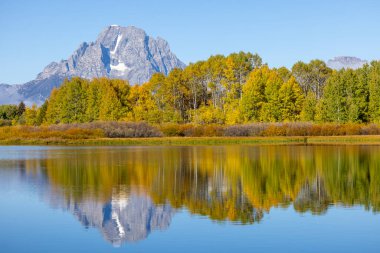 Güz ayında Grand Teton Ulusal Parkı Wyoming 'de güzel manzaralı bir manzara.
