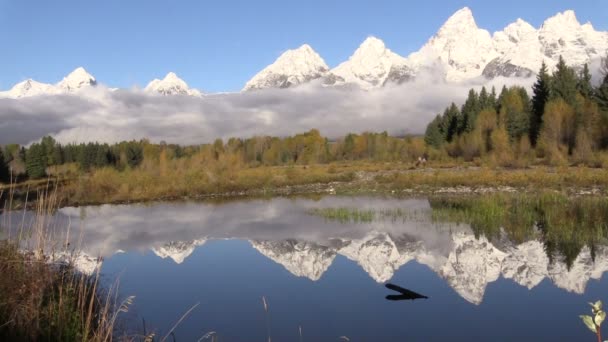 Teton pádu reflexe — Stock video