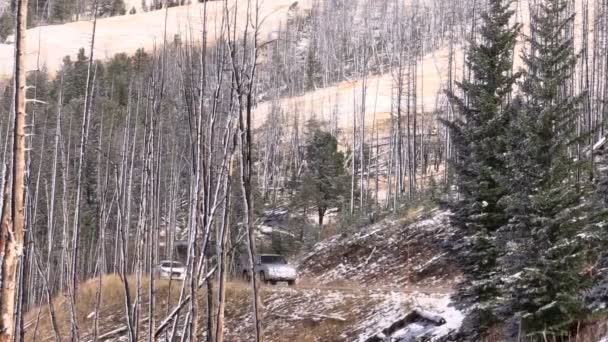 Foresta bruciata e neve — Video Stock