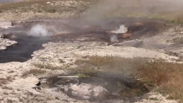 Hot Springs Parque Nacional de Yellowstone — Vídeo de Stock