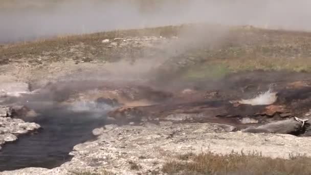 Hot Springs Yellowstone Milli Parkı — Stok video