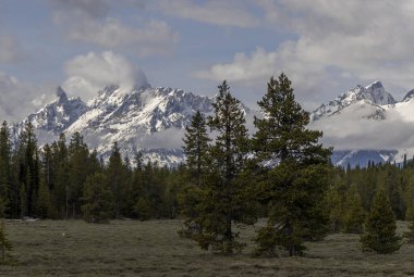 Grand Teton Ulusal Parkı Wyoming 'de manzaralı bir bahar manzarası.