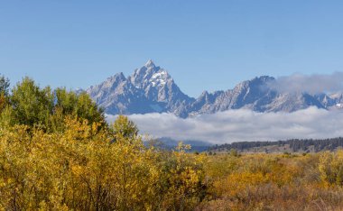 Grand Teton Ulusal Parkı Wyoming 'de manzaralı bir sonbahar manzarası.
