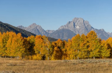 Grand Teton Ulusal Parkı Wyoming 'de manzaralı bir sonbahar manzarası.