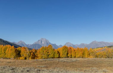 Grand Teton Ulusal Parkı Wyoming 'de manzaralı bir sonbahar manzarası.