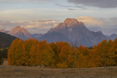 Grand Teton Ulusal Parkı Wyoming 'de manzaralı bir sonbahar manzarası.