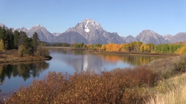 Oxbow Biegung Herbst Reflexion — Stockvideo