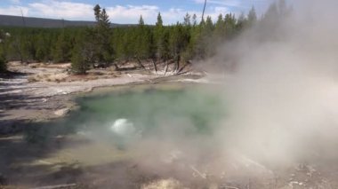 Emerald bahar Norris Şofben Havzası