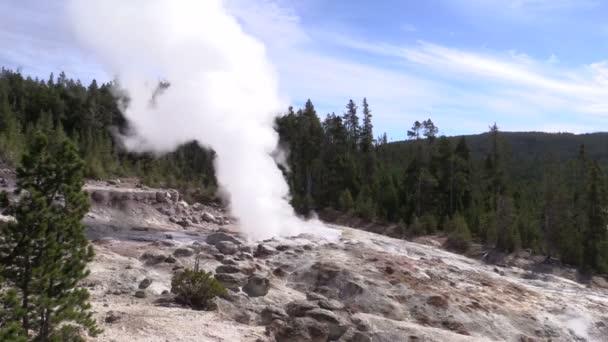 Dampfboot Geysir Norris Geysirbecken — Stockvideo