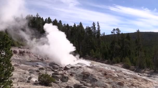 Barco a vapor Geyser Norris Geyser Basin — Vídeo de Stock