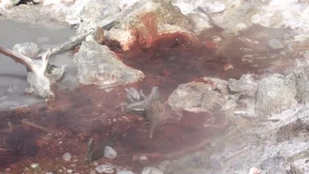 热泉诺里斯间歇泉盆地 — 图库视频影像
