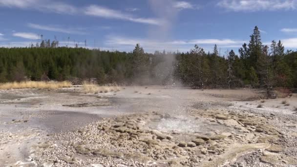 Hot Springs Norris gejzír medence — Stock videók