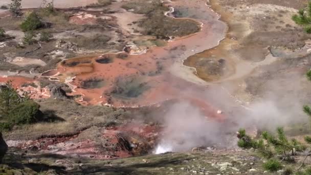 Hot Springs Yellowstone Nemzeti park — Stock videók