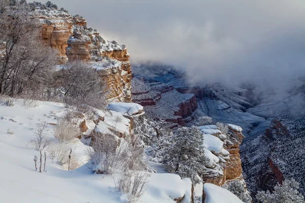 Paysage hivernal du Grand Canyon — Photo