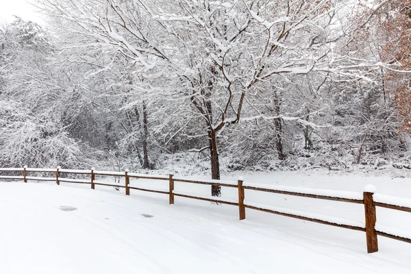 Winter Landscape in Arizona — Stock Photo, Image