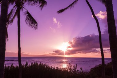 Güzel Maui günbatımı