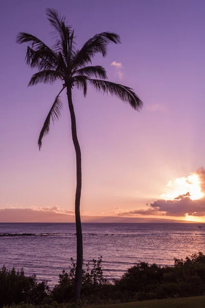 Maui piękny zachód słońca — Zdjęcie stockowe
