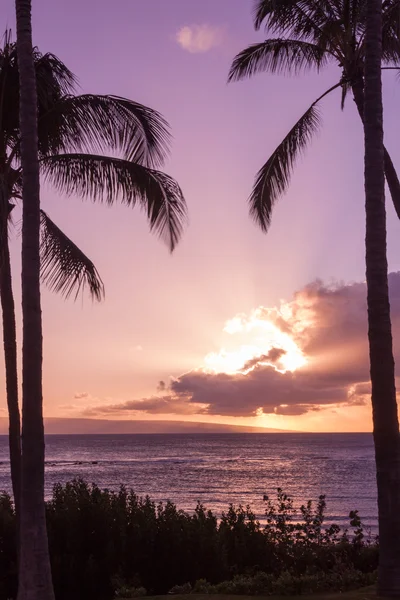 Красиві Maui Sunset — стокове фото