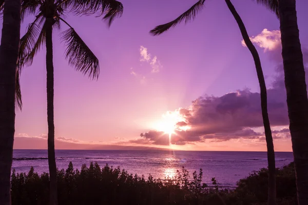 Красиві Maui Sunset — стокове фото