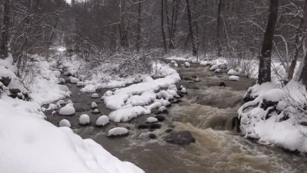 Corrente de montanha no inverno — Vídeo de Stock