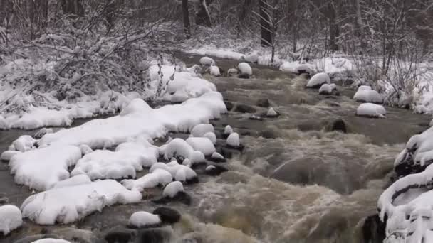 Corrente de montanha no inverno — Vídeo de Stock