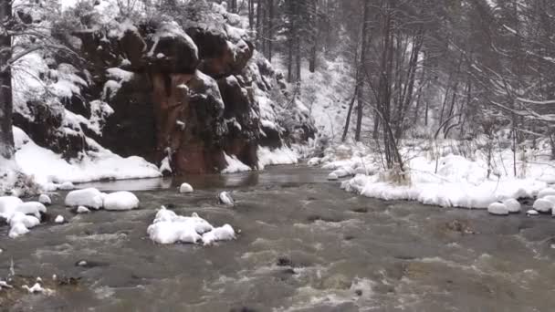 Corrente de montanha no inverno — Vídeo de Stock