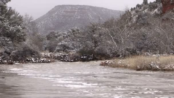 Powodzie na strumień zimą — Wideo stockowe