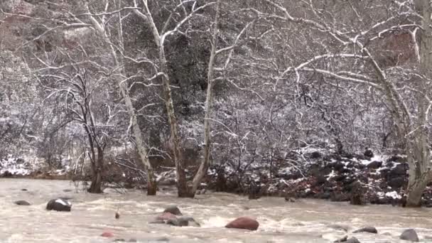 Inondazioni sul torrente in inverno — Video Stock